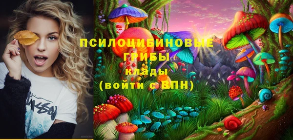 мет Заводоуковск