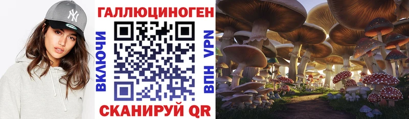 Псилоцибиновые грибы Magic Shrooms Исилькуль